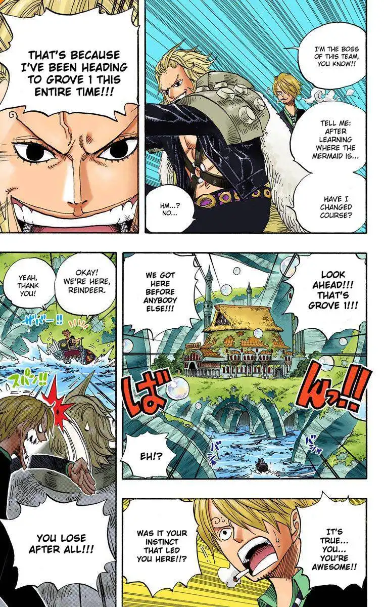 One Piece - Digital Colored Comics Chapter 501 11